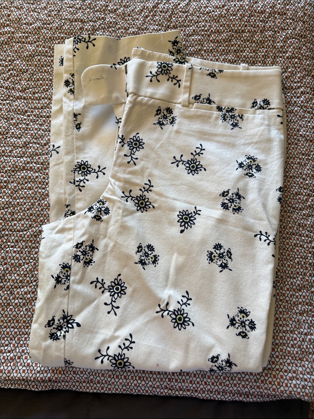 LOFT Riviera pants